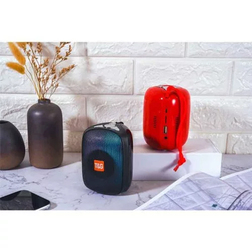 Ally T&G TG609 Kablosuz Wireless Bluetooth 5.0 Taşınabilir Hoperlör Ally T&G TG609 Kablosuz Wireless Bluetooth 5.0 Taşınabilir Hoperlör