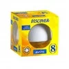 Discover Minisphere Oda Kokusu Melon