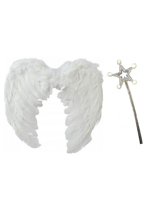 Melek Kanadı Kostüm Seti