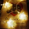 Çam Ağacı Görünümlü Led Işık Zinciri Çam Ağacı Görünümlü Led Işık Zinciri
