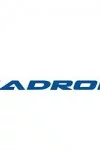 Hadron
