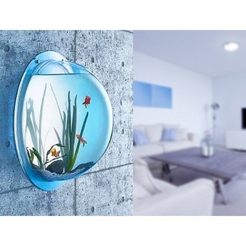 Duvar Akvaryumu Wallvarium Dekoratif