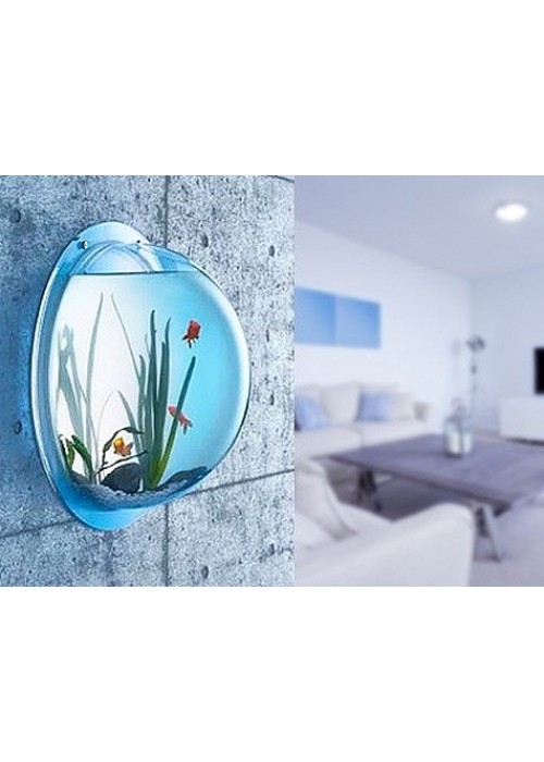 Duvar Akvaryumu Wallvarium Dekoratif