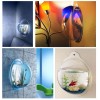 Duvar Akvaryumu Wallvarium Dekoratif